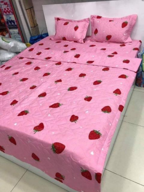 Trọn bộ ga gối chăn hè 5 món poly cotton mẫu 2020 bộ ga gối đẹp