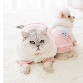 Quần áo chó mèo - áo khoác màu hồng mèo miu miu siêu dễ thương cho thú cưng