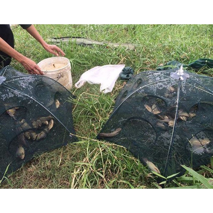 Lưới bát quái bắt TÔM CUA CÁ lợi hại