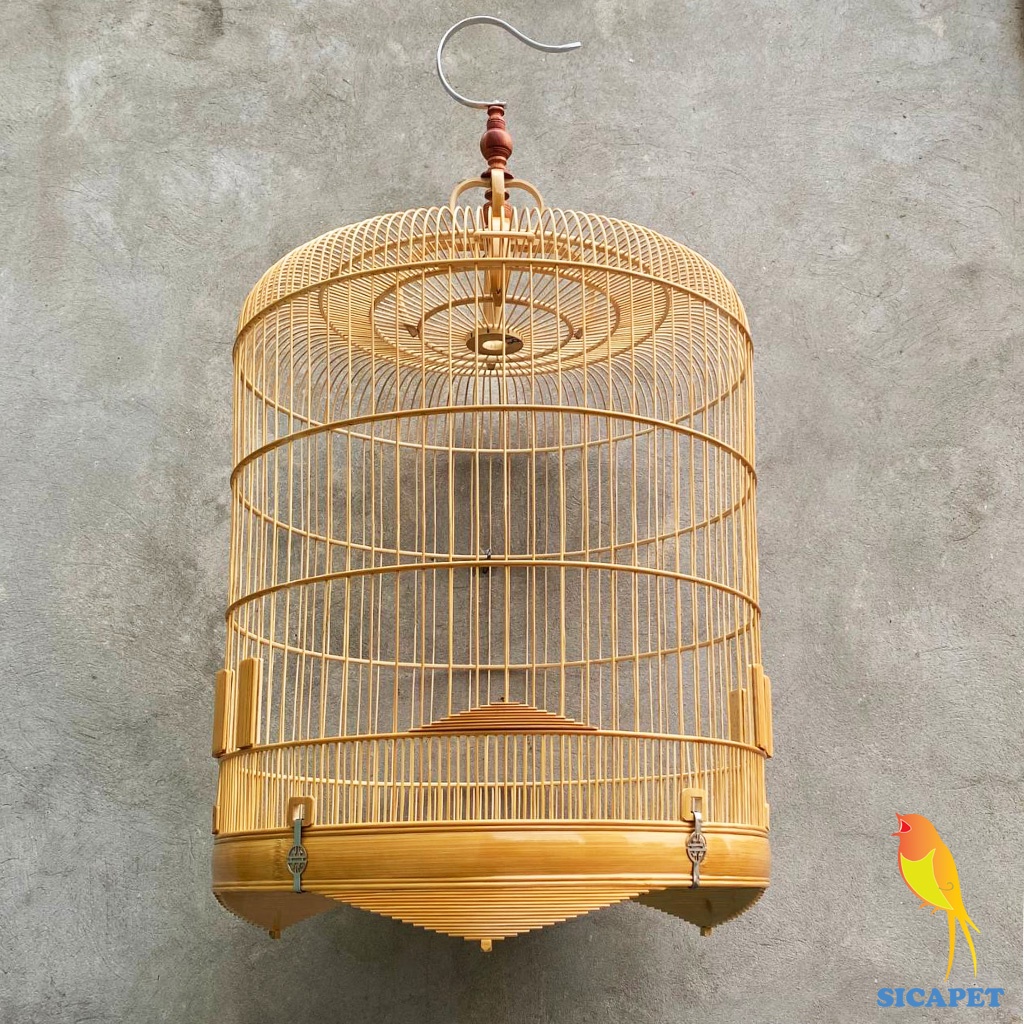 Lồng chim biên hòa dũi chỉ, Lồng chích chòe, White-rumped shama cage, Copsychus saularis SICAPET