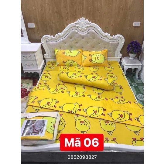 Chăn ga gối đệm 5 món đủ kích cỡ 1.6m 1m8 và 2m-2m2 đủ màu sắc và kích cỡ