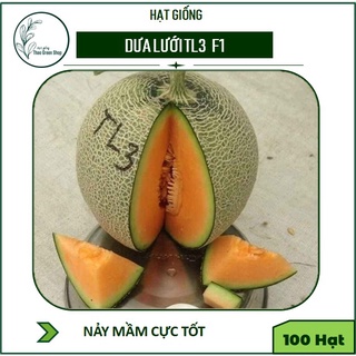 100H - Hạt Giống Dưa Lưới F1 TL3