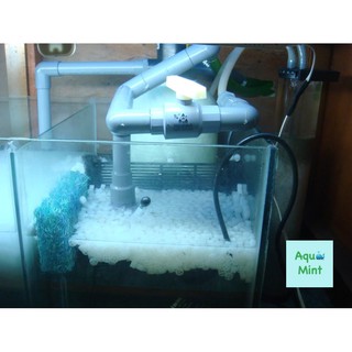 Hạt Nhựa Micro Kanet (100g)