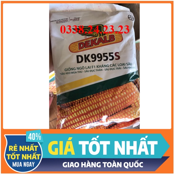 Hạt giống ngô lai F1 kháng các loại sâu DK9955S 1kg-  Bayer- NGÔ BIẾN ĐỔI GEN- NGÔ LAI DK6919S