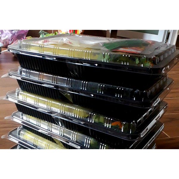 100 Khay nhựa đựng cơm 4 ngăn HT25