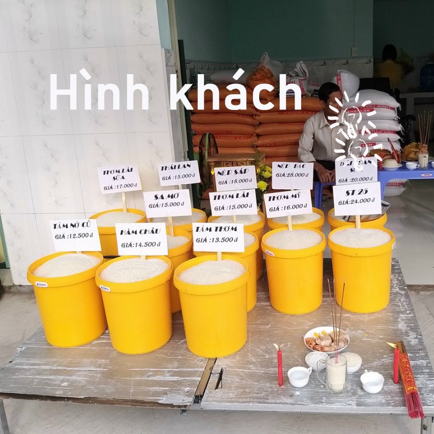 Xô nhựa tròn kiểu thùng sơn, 4 kích cỡ, dùng đựng nước đựng gạo, nhựa PP màu trắng, vàng, xanh dương (Không Nắp)