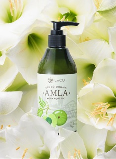 Dầu gội trị rụng tóc Amla