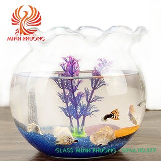 Hồ cá mini thủy tinh để bàn, chậu thủy tinh trồng cây thủy sinh mẫu B20