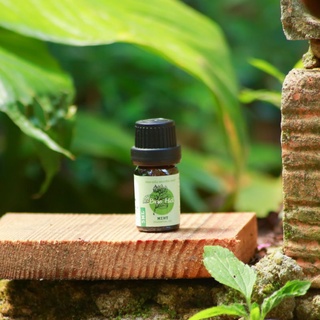 Tinh dầu bạc hà- Mint essential oil