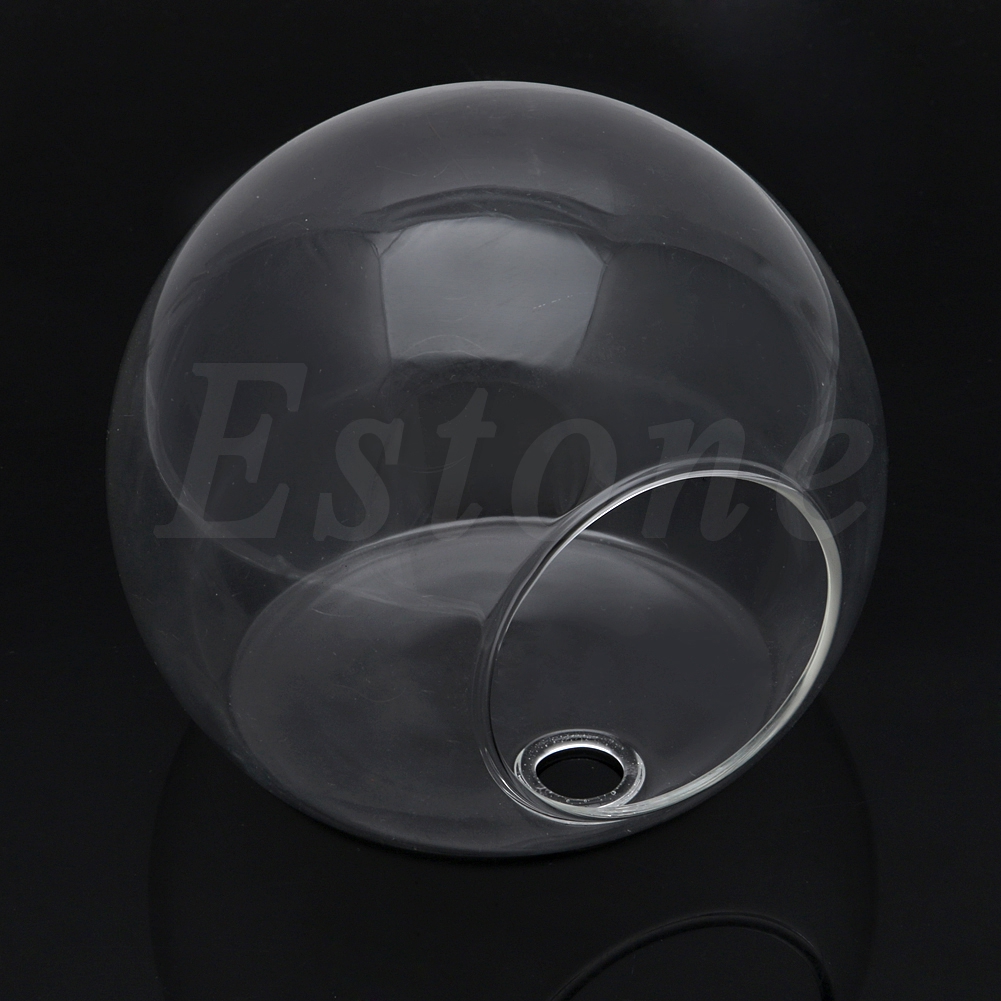 Chậu hoa cây mọng nước treo tường bằng thủy tinh dành cho trang trí nhà cửa