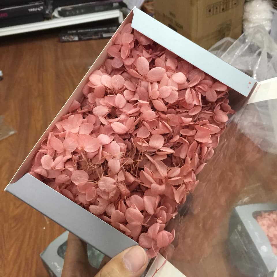 Hộp hoa khô siêu lớn