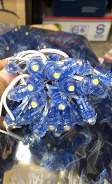 Led đúc 5 ly - 12V- trang trí ngoài trời và biển quảng cáo