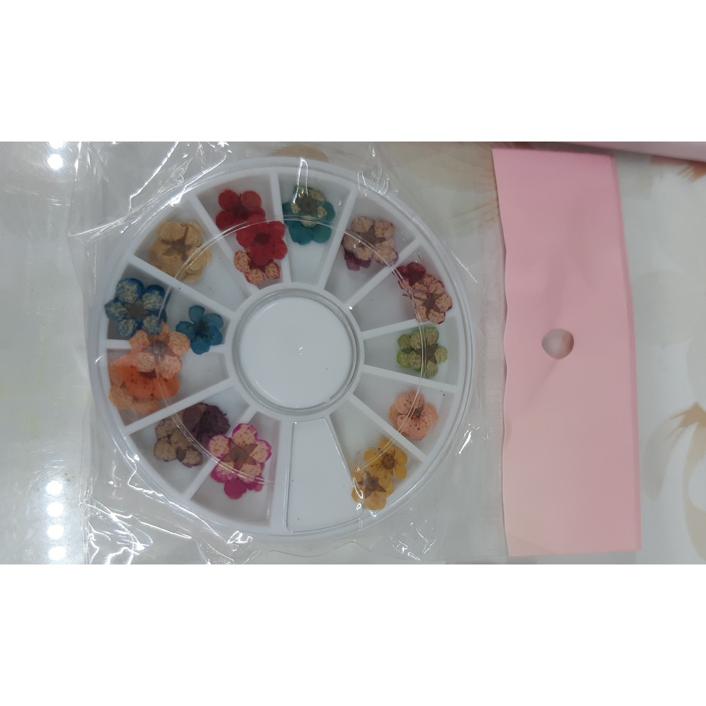 Hoa khô trang trí (NA0414 NA4736)