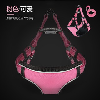 Dây xích và yếm ngực dắt chó