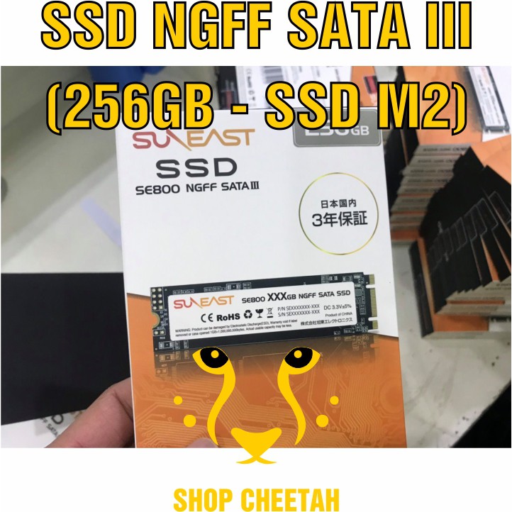 Ổ cứng SSD NGFF SATAIII SunEast 256GB nội địa Nhật Bản – CHÍNH HÃNG – Bảo hành 3 năm – M2 Sata3 SSD chính hãng