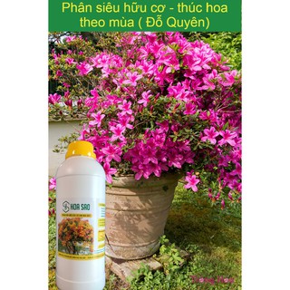 Phân bón kích hoa giấy HOA SAO CHÍNH HÃNG 🍀 fresship 🍀kích hoa giấy sai hoa, nở đồng loạt, phân bón hoa giấ