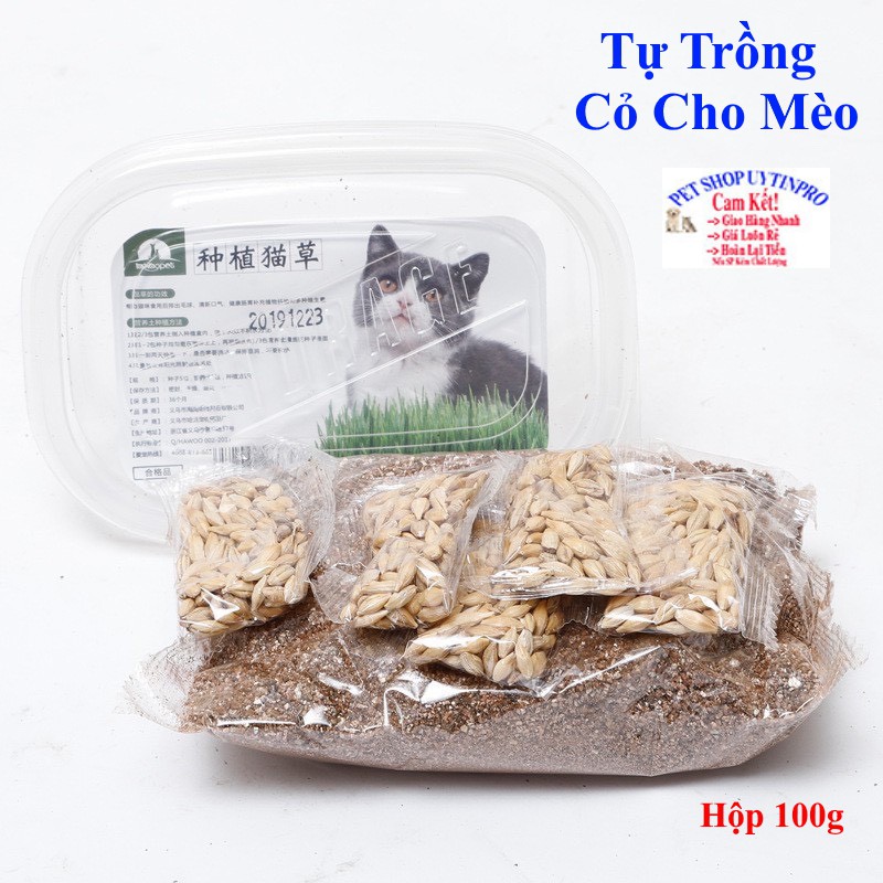 Bộ trồng cỏ lúa mạch tươi cho mèo giúp kích thích tiêu hóa vàxử lý búi lông trong ruột mèo hộp 100g - Lida Pet Shop