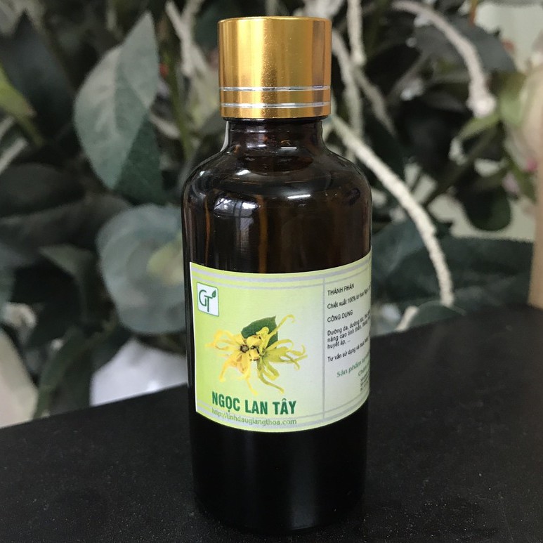 Tinh Dầu Hoa Ngọc Lan Tây 100ml - Ấn Độ - 100% Tự Nhiên - [HÀNG CAO CẤP]