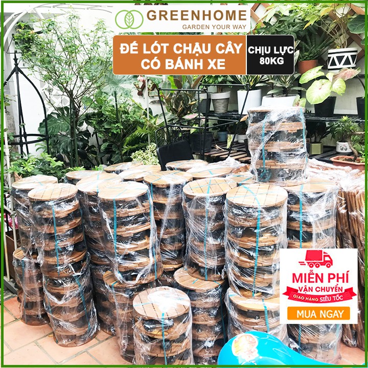 Bộ 2 Đế lót chậu cây có bánh xe, hình vuông, màu nâu, bằng gỗ, chịu lực 80kg, R30xC8cm |Greenhome