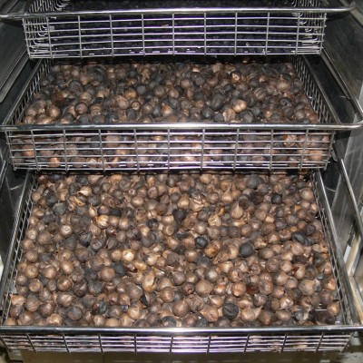 Tỏi đen (500g) được lên men 45 ngày từ tỏi trắng Kinh môn Hải Dương | BigBuy360 - bigbuy360.vn