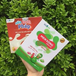 Men & sữa non