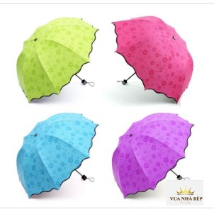 Ô Gặp Nước Nở Hoa(mầu ngẫu nhiên)