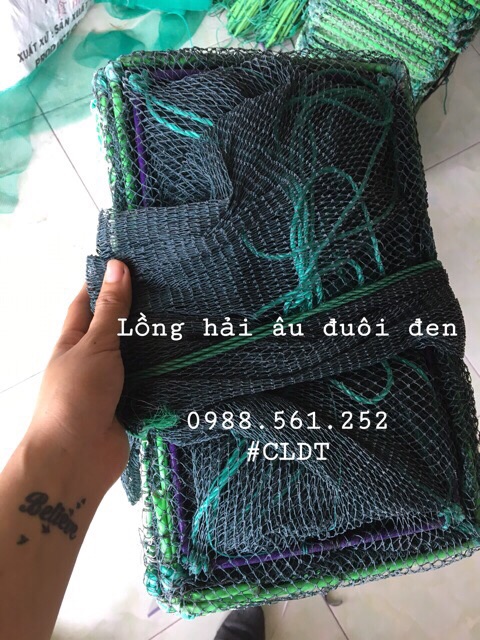 Sỉ 10 lồng bát quái Hải Âu đuôi đen