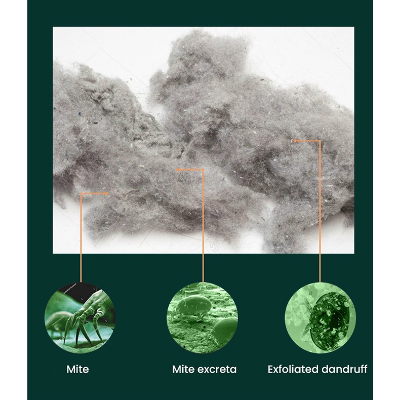 Máy hút bụi cầm tay mẫu mới không dây, lực hút 10.000 Pa, diệt khuẩn bằng tia UV và nhiệt độ 50 độ