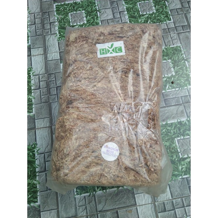 Rêu Chile giữ ẩm mặt chậu cho hoa lan, gói 100G