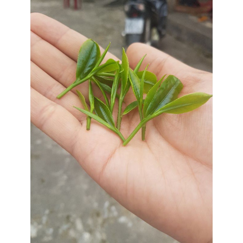 CHÈ TÔM NÕN(500g)