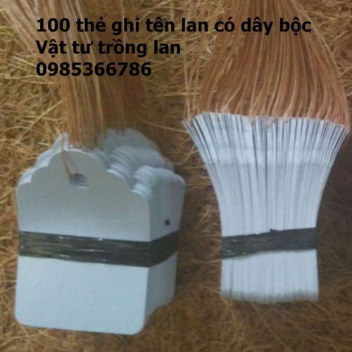 100 thẻ ghi tên lan có dây buộc tiện lợi