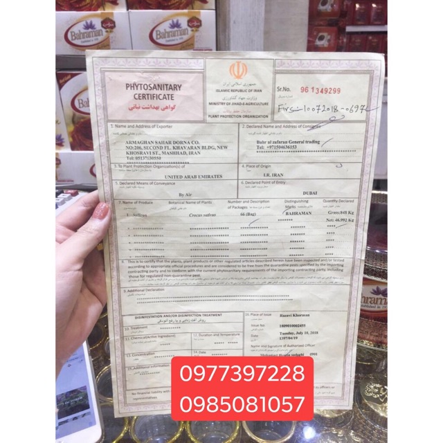 Saffron lọ 1gr bahraman chuẨn iran | BigBuy360 - bigbuy360.vn