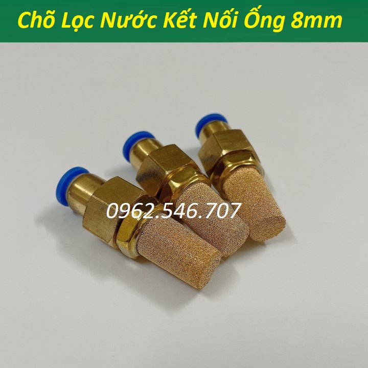 Chõ, rọ đồng lọc nước, lọc cặn bẩn cho bơm phun sương ống 8mm, 8 ly