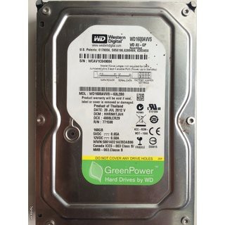 Ổ CỨNG WESTERN 160 GB - 3.5" (Dành cho PC) | BigBuy360 - bigbuy360.vn