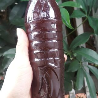 cbo sỉ mật mía 3lít