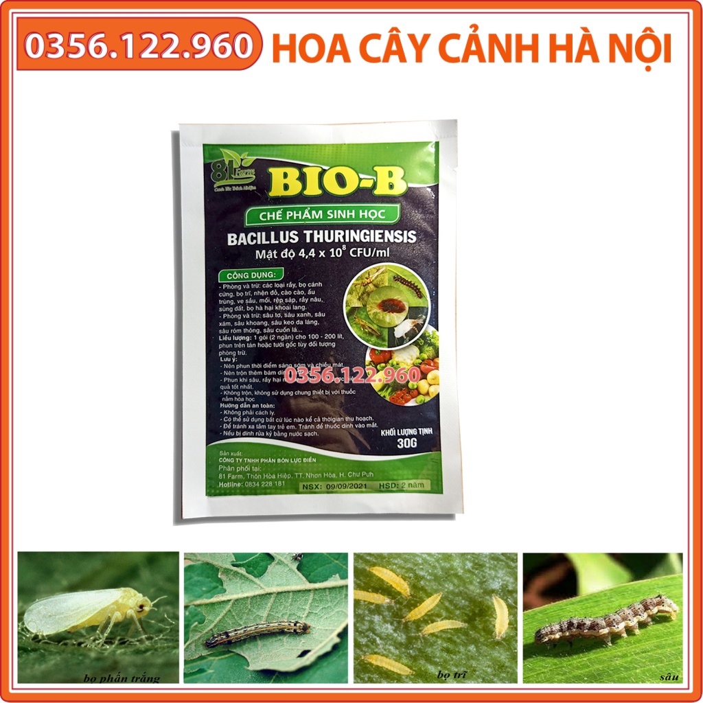 Chế phẩm trừ sâu sinh học Bio-B gói 30g - gói màu đen, hiệu quả tức thì