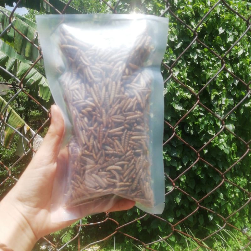 Sâu sạch sấy khô canxi lớn cho cá koi, chim, hamster