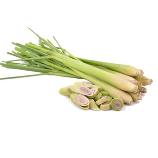 Sả Đà Lạt tươi ngon xanh sạch