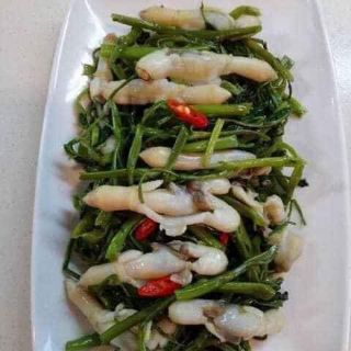 Ruột Ốc Móng Tay