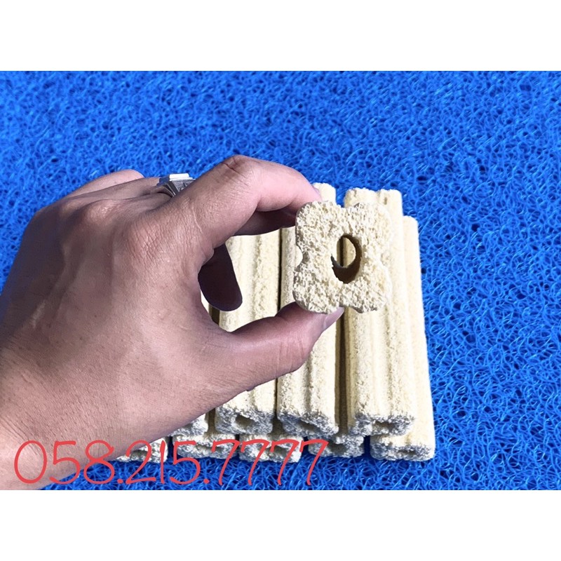 Combo 10 thanh sứ Thanh Hoa Mai 15x4x4 cao cấp