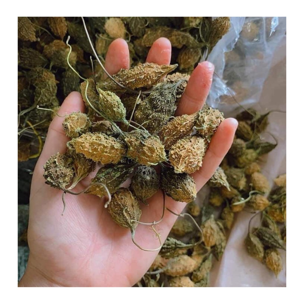 Khổ qua ( mướp đắng ) rừng nguyên trái sấy khô loại 1 hỗ trợ tiểu đường, giảm cân, làm trà tốt cho sức khoẻ | BigBuy360 - bigbuy360.vn