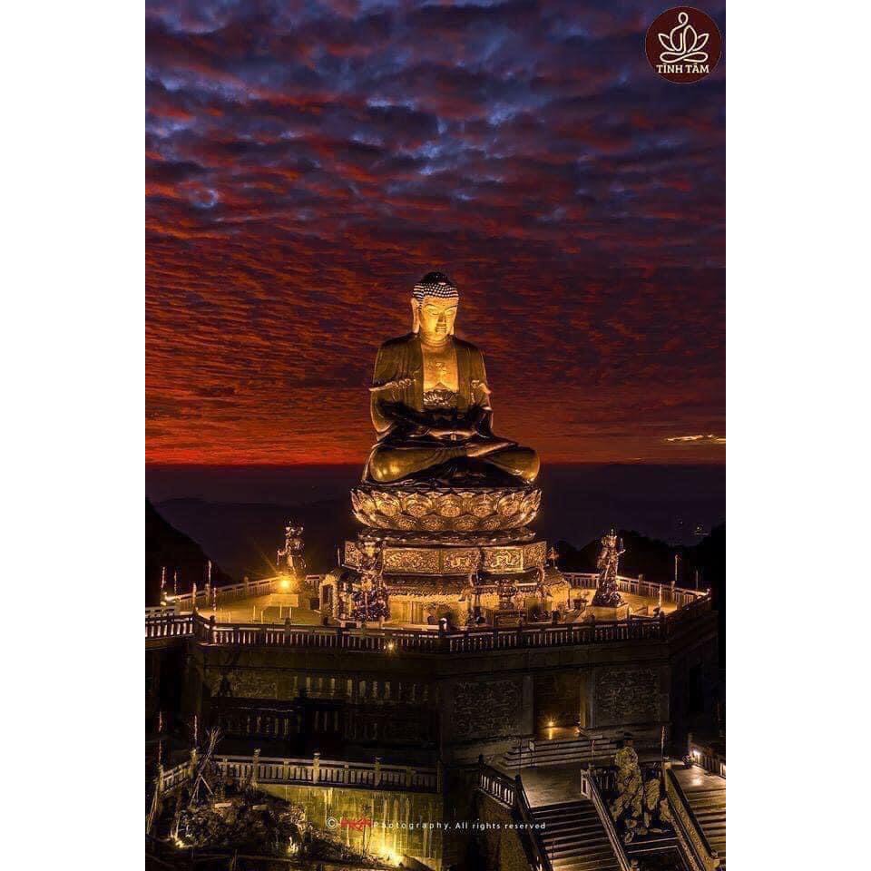 Tượng phật A Di Đà ngồi thiền trên tòa sen có chân đế - Chiều cao 20cm - Màu nâu đen - Đá Composite