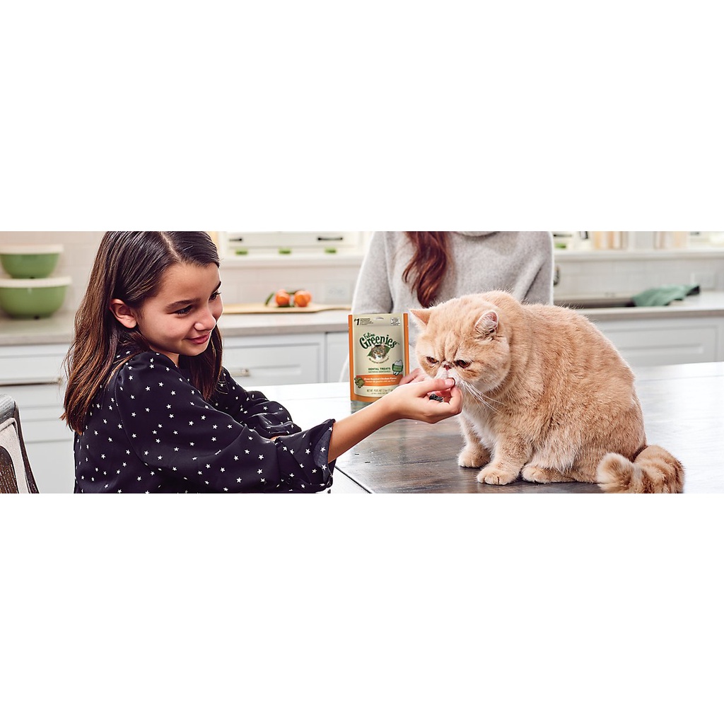 Bánh Thưởng Làm Sạch Răng Cho Mèo Feline Greenies Dental Cat Treat 277g