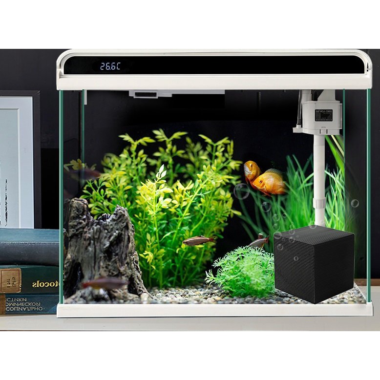 Than Hoạt Tính Lọc Nước Bể Cá Cảnh khối lớn 10x10x10