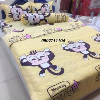 Bộ ga giuong cotton