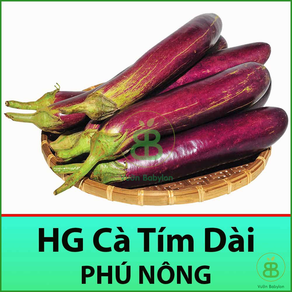 Hạt Giống Cà Tím Dài Cao Sản 0,2Gr Siêu Trái