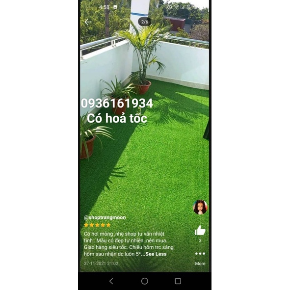 Thảm cỏ nhân tạo 2cm sân vườn