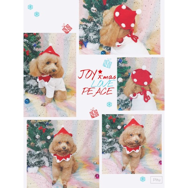 [order] yếm noel cho chó mèo