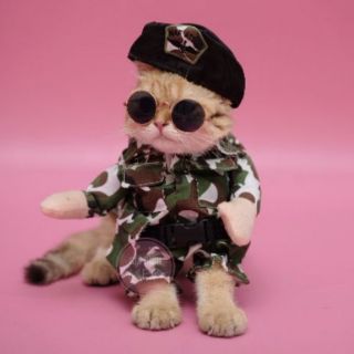 Áo chó mèo cosplay lính Mỹ A59