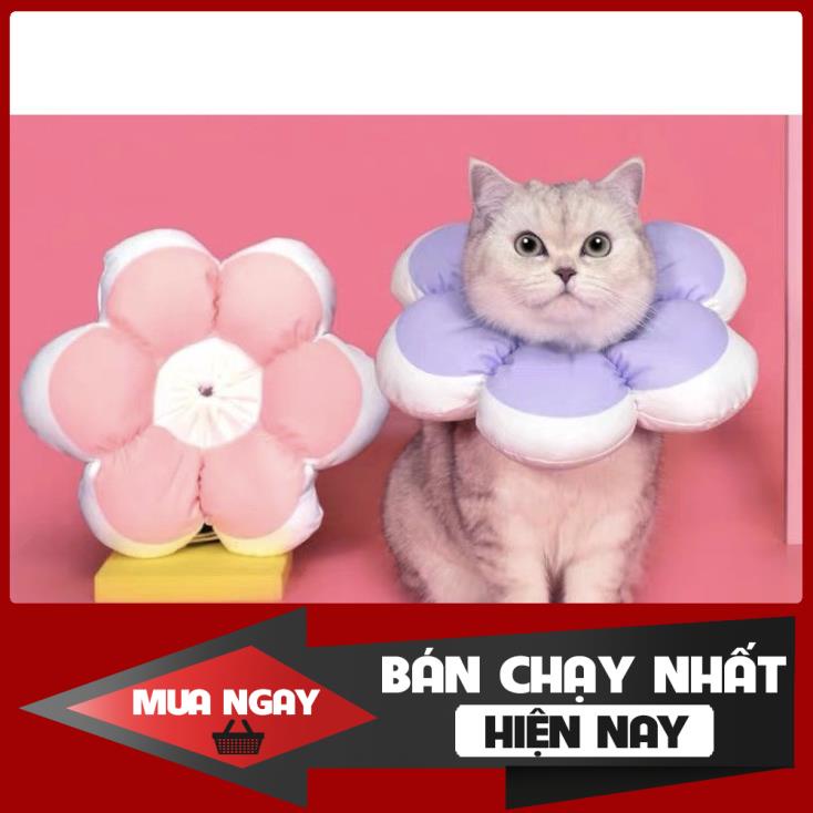 [NEW] Vòng chống liếm hình hoa cho chó mèo bông mềm mịn nhiều màu cao cấp